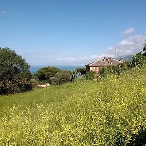 Casa Ninni Bed & Breakfast